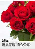 躣Wӆ
